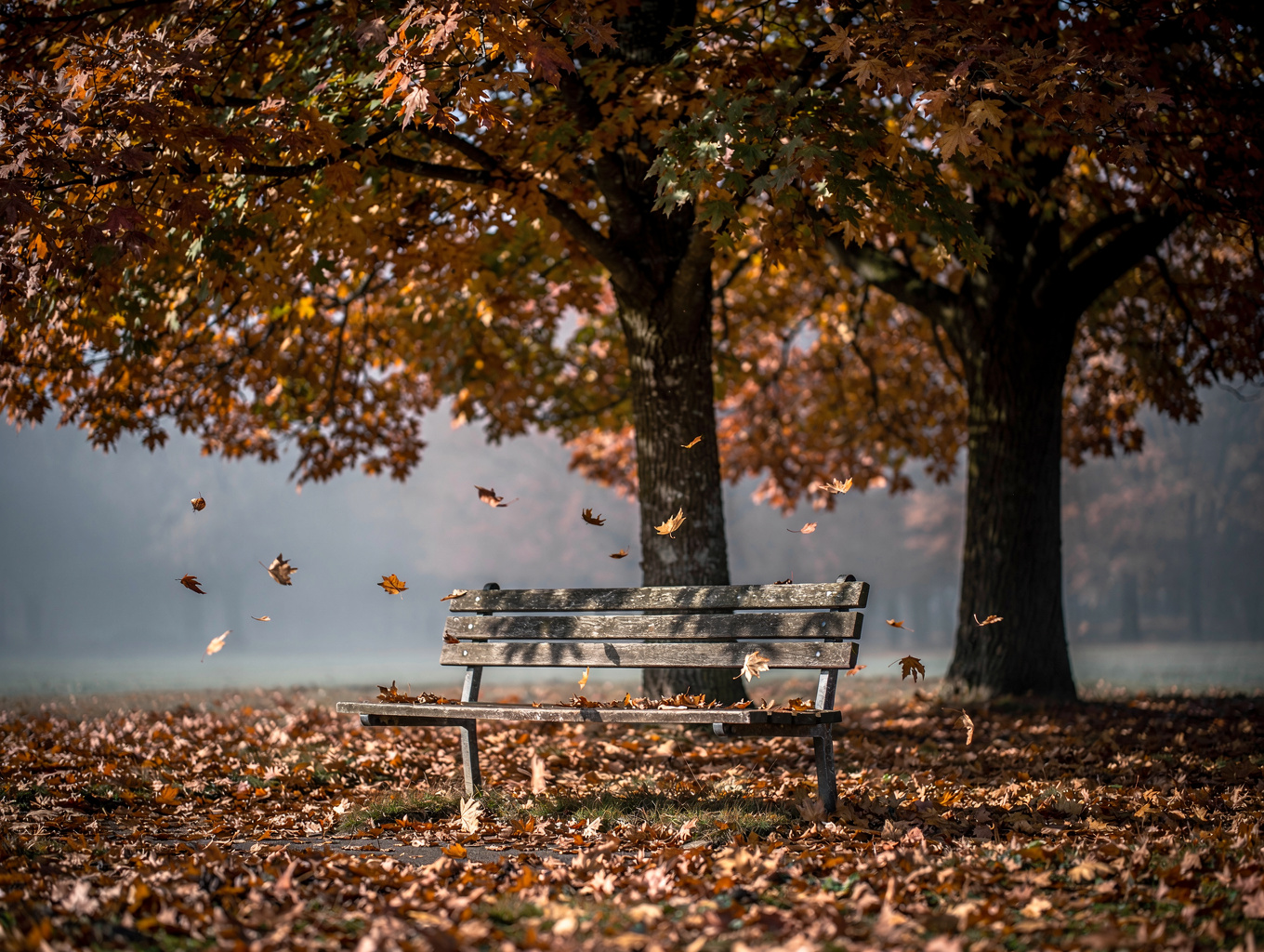 Empty park bench