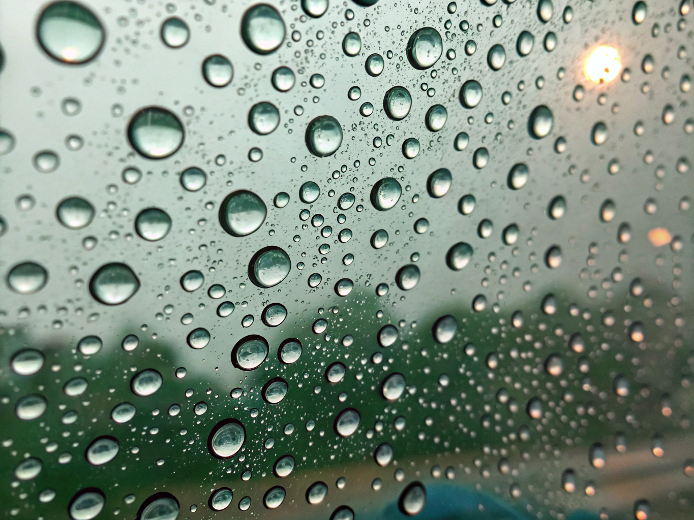 Rain drops on glass